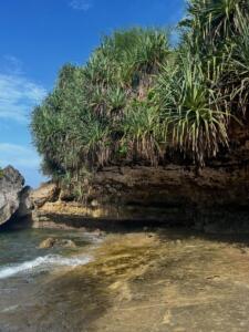 Formasi karang di tepi pantai