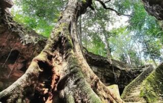 Goa Rancang Kencono Yogyakarta