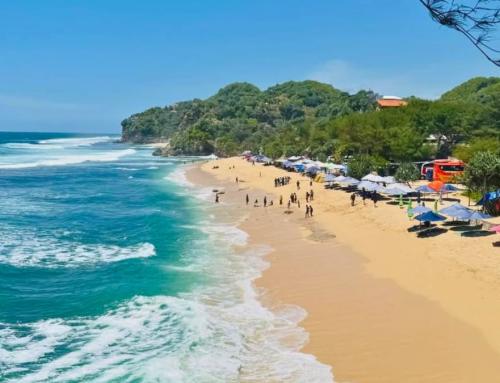 Pantai Drini Yogyakarta: Destinasi Wisata Alam Gunungkidul dengan Pesona Pulau Karang