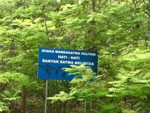 Papan peringatan di sepanjang jalan kawasan konservasi