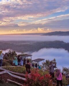 Panorama negeri awan di Kebun Buah Mangunan saat pagi hari