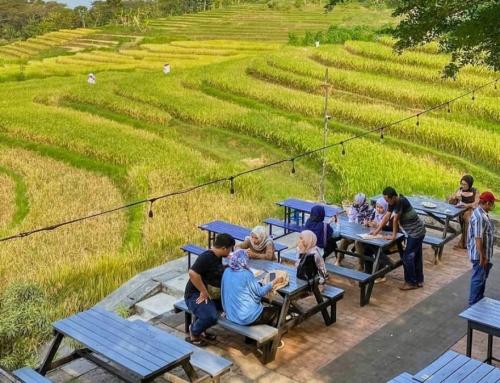 Kopi Ampirono Yogyakart: Destinasi Ngopi dengan Pemandangan Alam di Kulon Progo