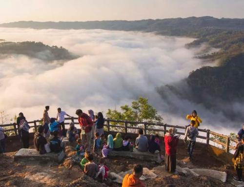 Kebun Buah Mangunan Yogyakarta: Negeri di Atas Awan