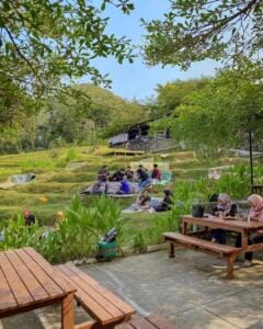 Area outdoor Kopi Ampirono Area outdoor Kopi Ampirono