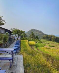 Pemandangan yang indah Pemandangan yang indah