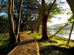 Jalur untuk jalan kaki di tepi telaga