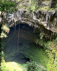 Mulut gua Goa Jomblang dengan formasi karst khas Gunungkidul
